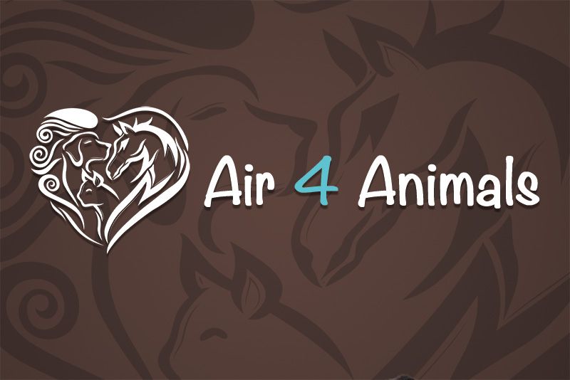 Air 4 Animals